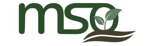 MSO BIOMASSE GmbH